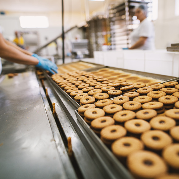 INDUSTRIA ALIMENTARE